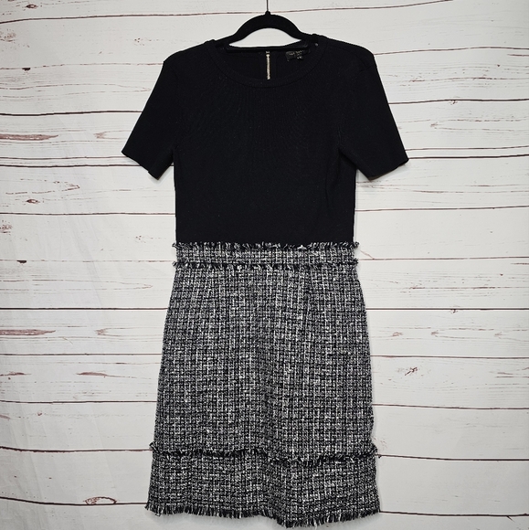 Ted Baker London Dresses & Skirts - Ted Baker London Mockable Layered Look Mini Dress